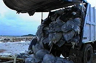 Director Greg Punch - waste dump truck